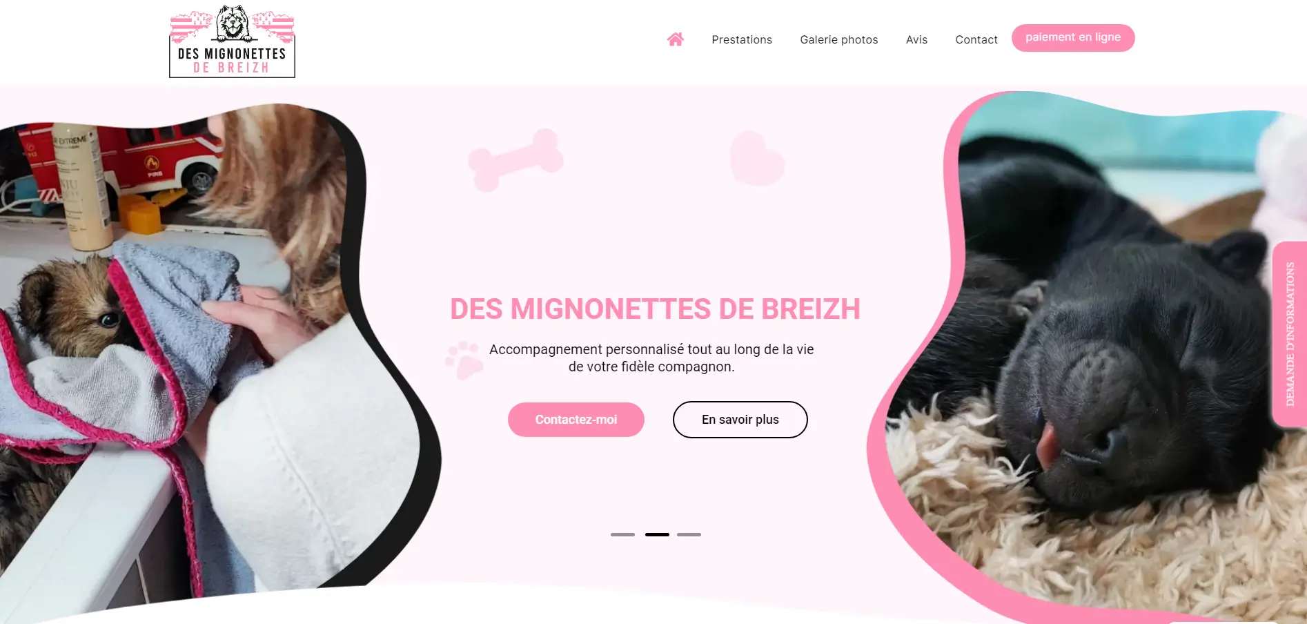 Coherence Agence Digitale Des Mignonnettes De Breizh