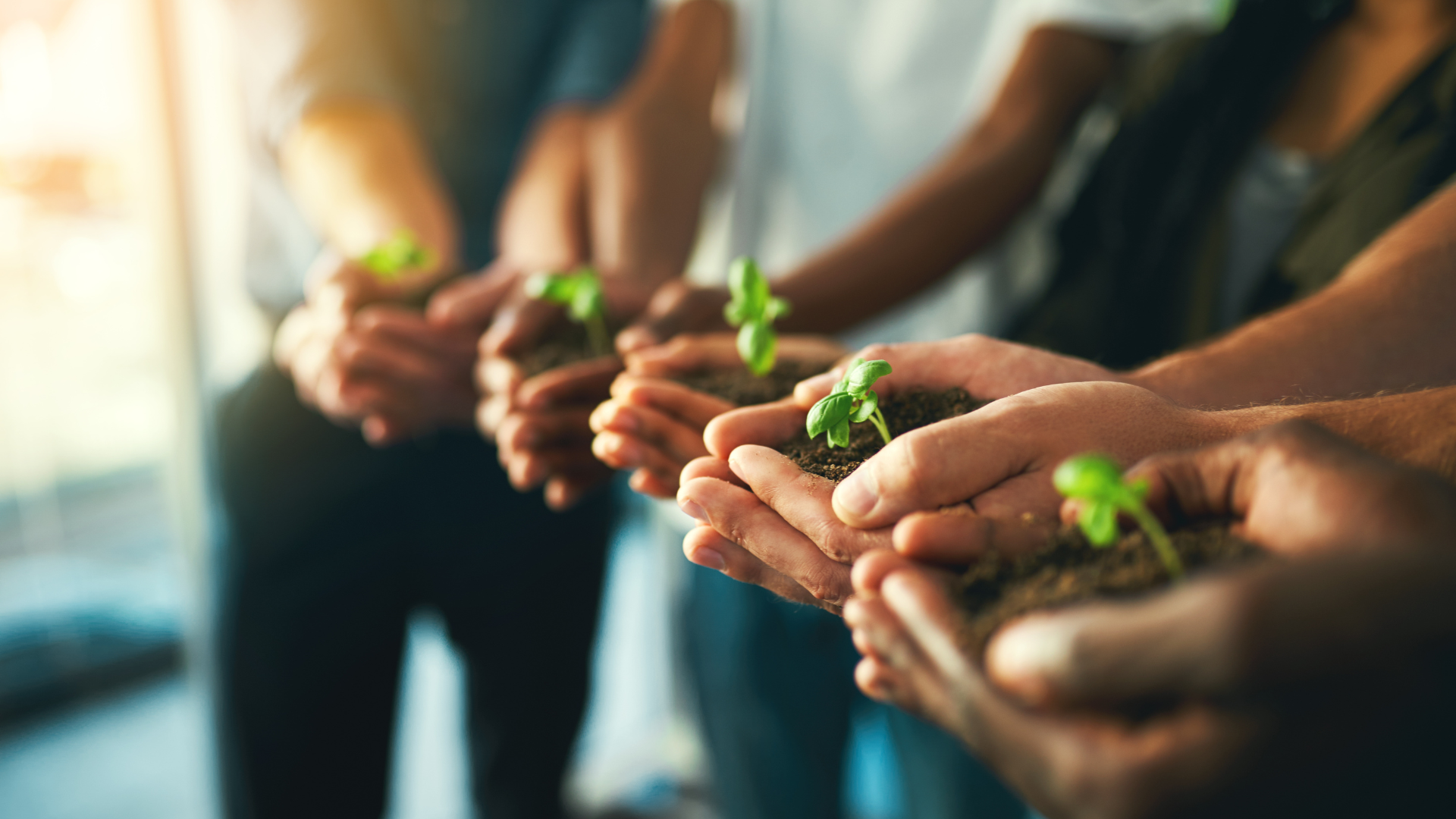 Coherence Agence Digitale Green UX Vers Une Experience Utilisateur Plus Durable Et Responsable1920x1080 Coherence Agence Digitale Green UX Vers Une Experience Utilisateur Plus Durable Et Responsable1920x1080