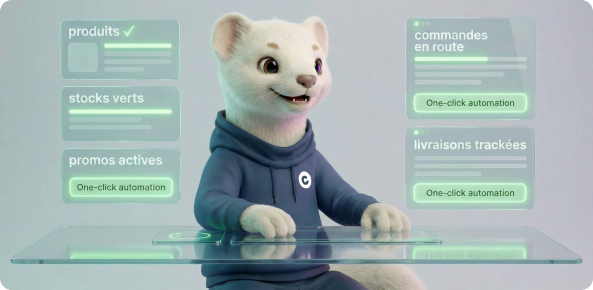 Coherence Agence Digitale E Commerce 3 Coherence Agence Digitale E Commerce 3