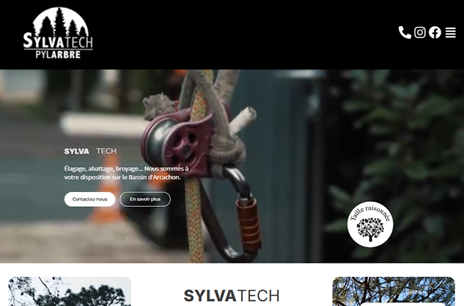 Coherence Agence Digitale SYLVATECH