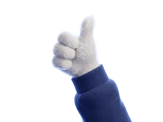 Coherence Agence Digitale Picsolu Main Coherence Agence Digitale Picsolu Main